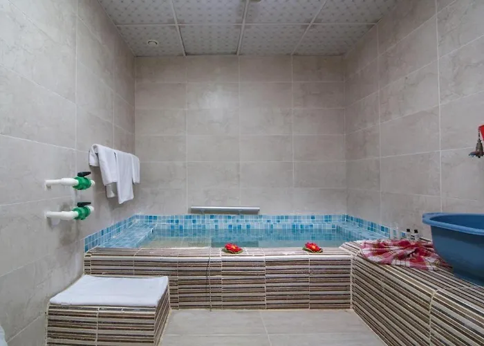 Hotel Arya Termal 5*